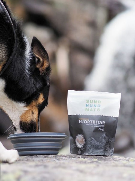 Sund-Hundmat-friandise-lyophilisee-freeze-dried-raw-cerf