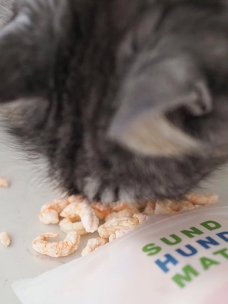 Sund-Hundmat-friandise-lyophilisee-freeze-dried-raw-crevette