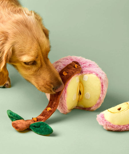 The-Foggy-Dog-jouet-fouille-enrichissement-pour-chien-pomme