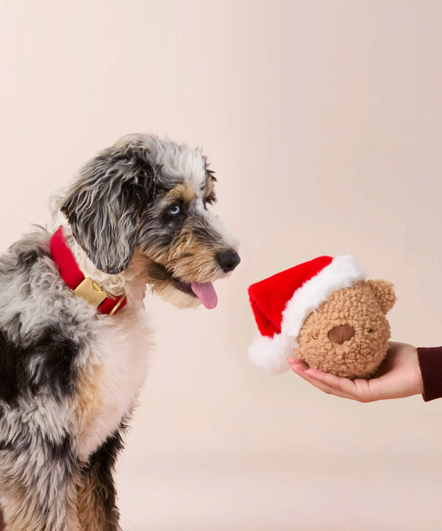 The-Foggy-Dog-peluche-fouille-balle-pour-chien-ourson-noel