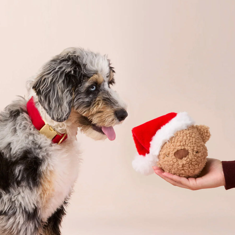 The-Foggy-Dog-peluche-fouille-balle-pour-chien-ourson-noel
