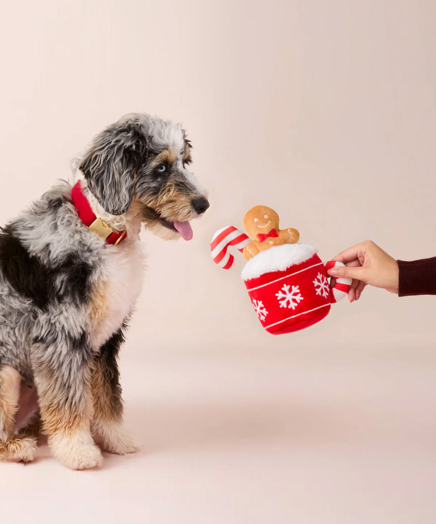 The-Foggy-Dog-peluche-fouille-chocolat-chaud