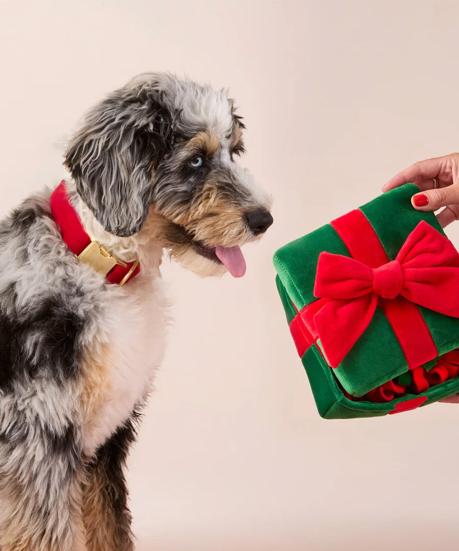 The-Foggy-Dog-peluche-fouille-pour-chien-cadeau-noel