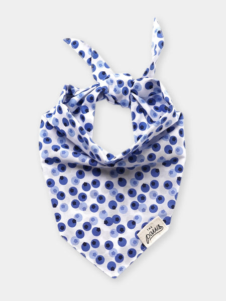 The-Paws-bandana-pour-chien-Berry