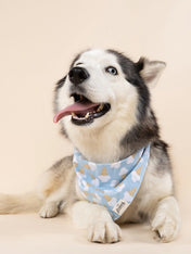The-Paws-bandana-pour-chien-Blue-Bell