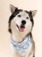 The-Paws-bandana-pour-chien-Blue-Bell