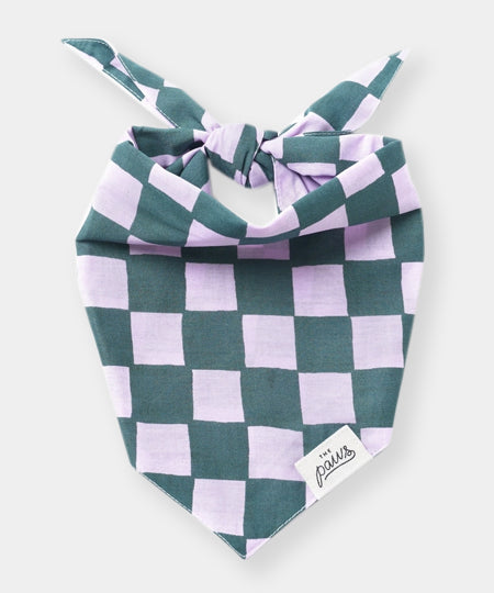 The-Paws-bandana-pour-chien-Brooklyn