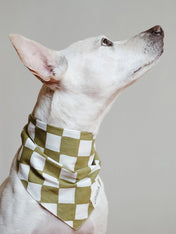 The-Paws-bandana-pour-chien-Checkmate-vert