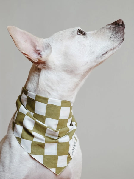 The-Paws-bandana-pour-chien-Checkmate-vert