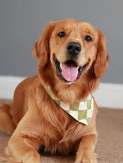 The-Paws-bandana-pour-chien-Checkmate-vert