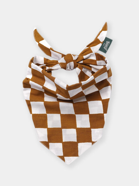 The-Paws-bandana-pour-chien-Cocoa