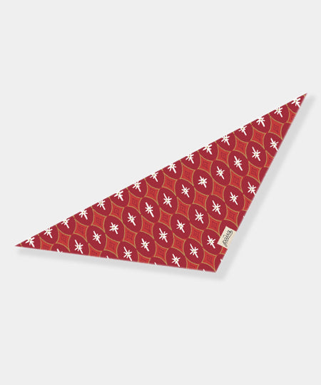 The-Paws-bandana-pour-chien-Cranberry-noel