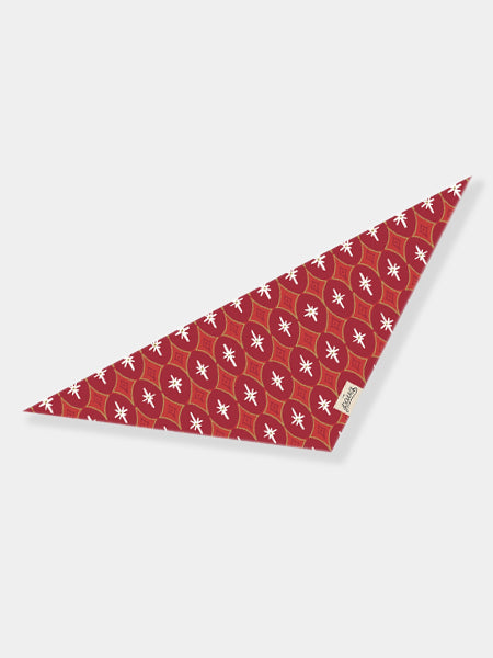 The-Paws-bandana-pour-chien-Cranberry-noel