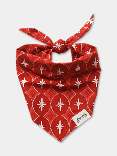 The-Paws-bandana-pour-chien-Cranberry-noel