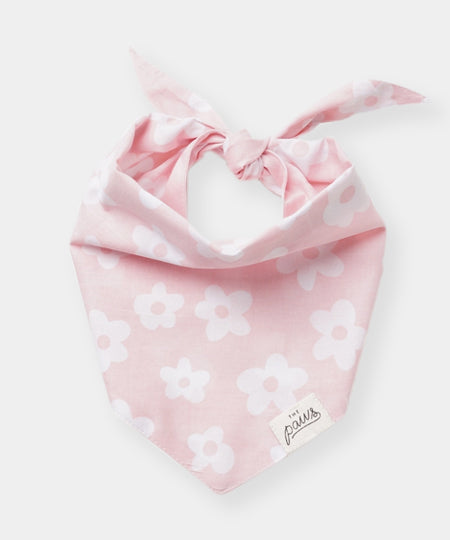 The-Paws-bandana-pour-chien-Daisie