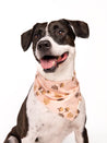     The-Paws-bandana-pour-chien-Hickory