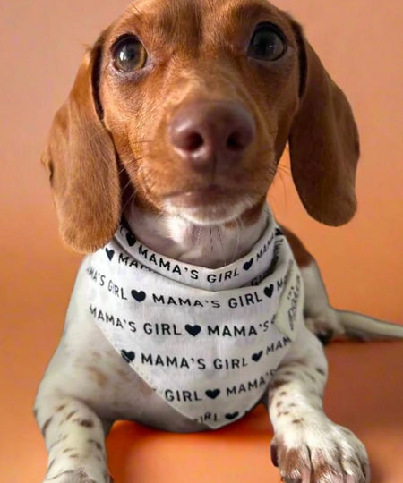 The-Paws-bandana-pour-chien-Mama_s-girl