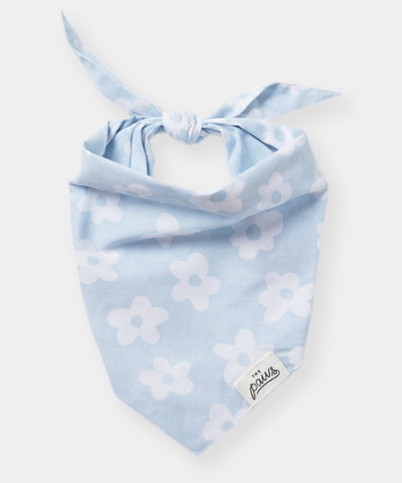 The-Paws-bandana-pour-chien-Noah
