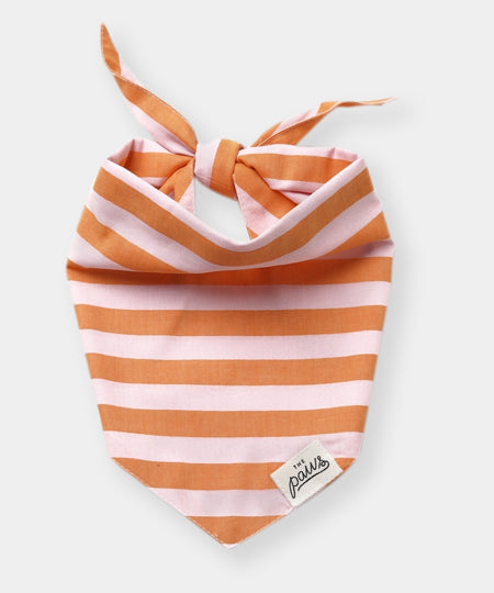 The-Paws-bandana-pour-chien-Nusa