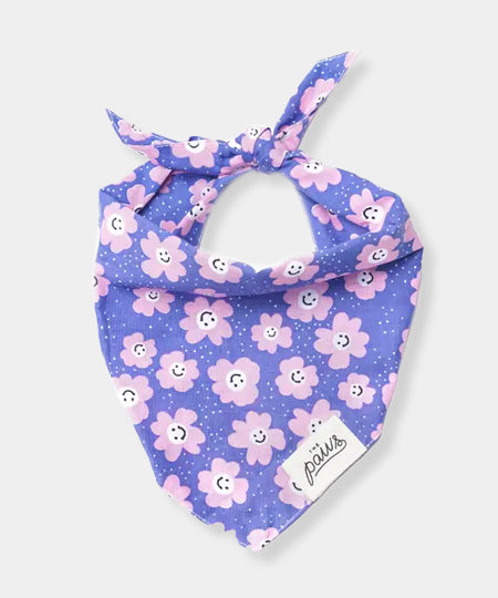 The-Paws-bandana-pour-chien-Stardust