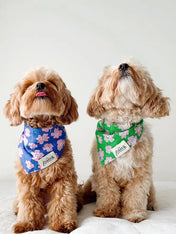 The-Paws-bandana-pour-chien-Stardust