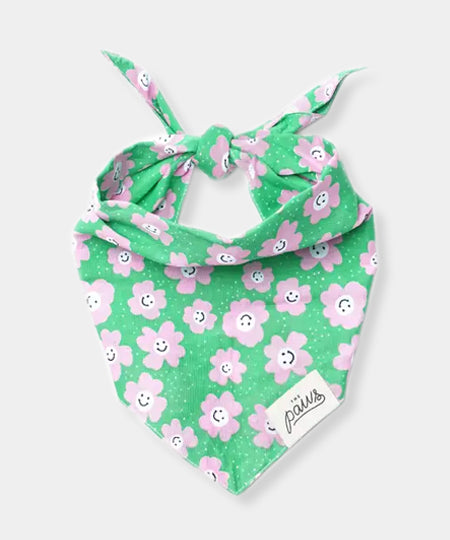 The-Paws-bandana-pour-chien-Ziggy