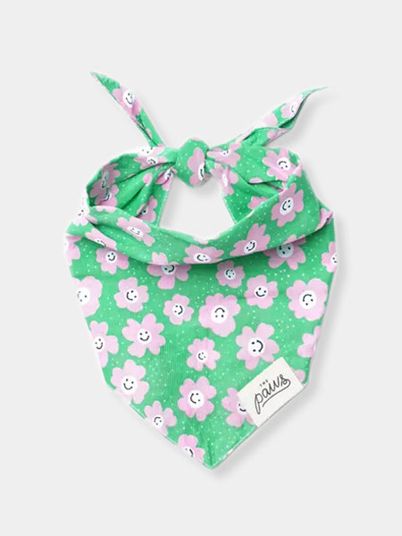 The-Paws-bandana-pour-chien-Ziggy