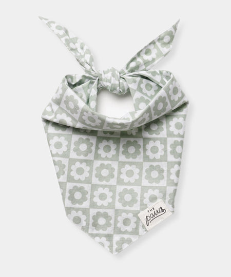 The-Paws-bandana-pour-chien-Zoe-fleur