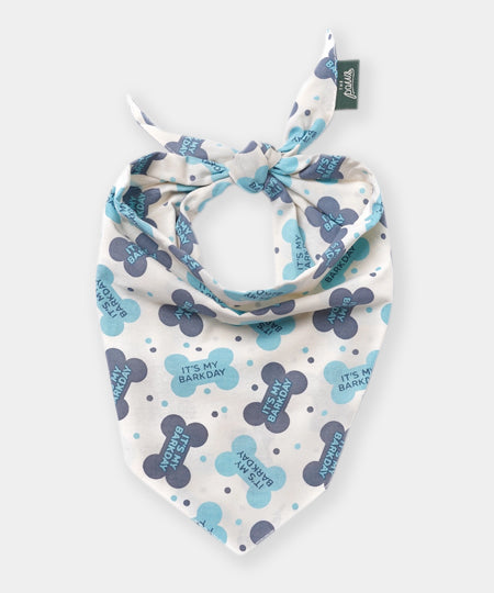 The-Paws-bandana-pour-chien-birthday-bleu