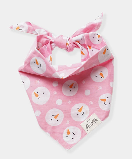 The-Paws-bandana-pour-chien-bonhomme-de-neige-Snowball