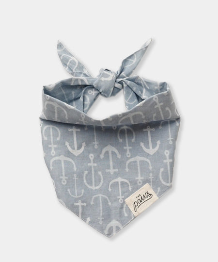 The-Paws-bandana-pour-chien-cape-charles