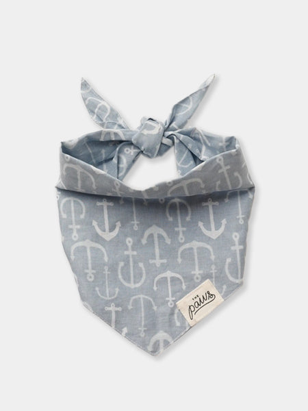 The-Paws-bandana-pour-chien-cape-charles