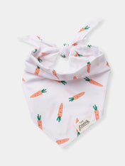 The-Paws-bandana-pour-chien-carotte