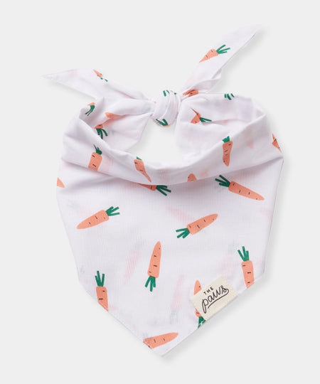 The-Paws-bandana-pour-chien-carotte