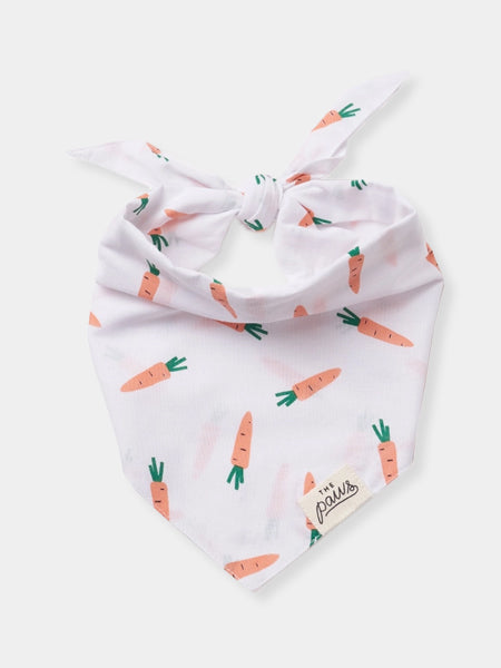 The-Paws-bandana-pour-chien-carotte