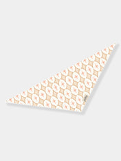 The-Paws-bandana-pour-chien-champagne