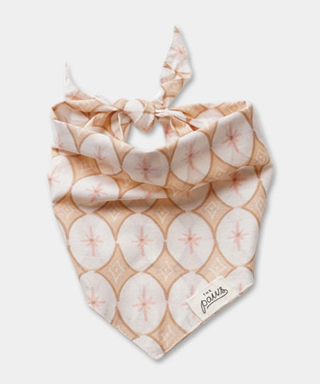 The-Paws-bandana-pour-chien-champagne