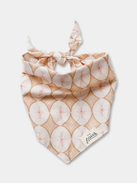 The-Paws-bandana-pour-chien-champagne