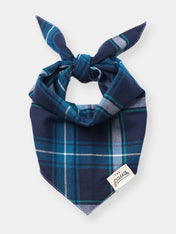 The-Paws-bandana-pour-chien-cozy