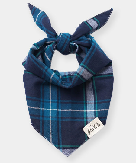 The-Paws-bandana-pour-chien-cozy