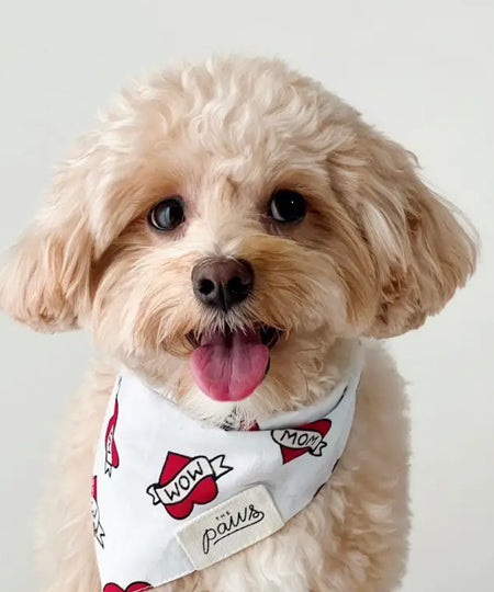 The-Paws-bandana-pour-chien-dog-mum