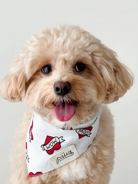 The-Paws-bandana-pour-chien-dog-mum