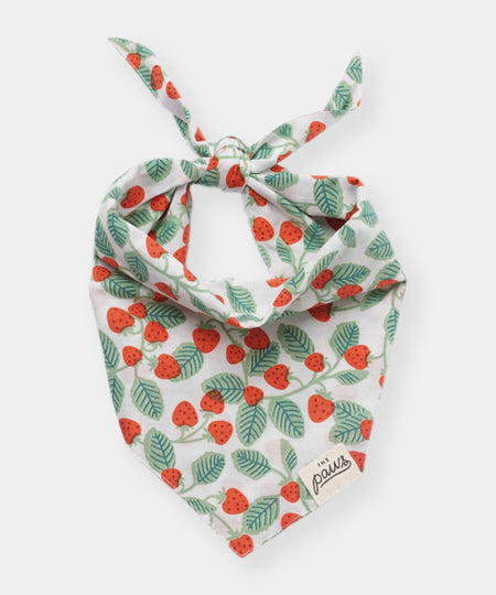The-Paws-bandana-pour-chien-fraise