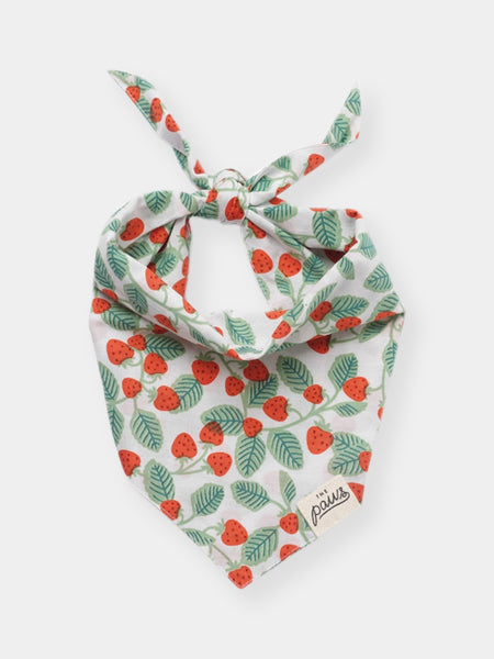 The-Paws-bandana-pour-chien-fraise