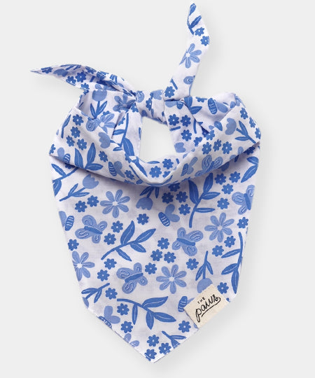 The-Paws-bandana-pour-chien-jo