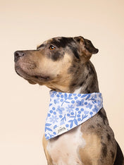 The-Paws-bandana-pour-chien-jo