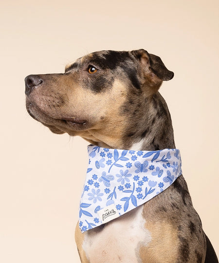 The-Paws-bandana-pour-chien-jo