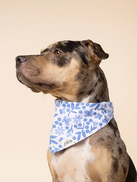 The-Paws-bandana-pour-chien-jo