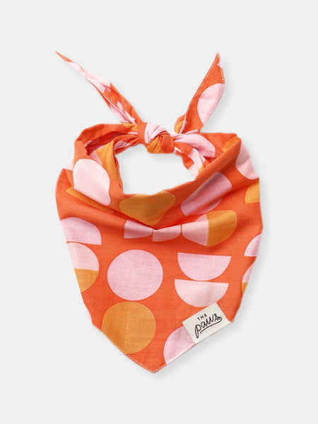      The-Paws-bandana-pour-chien-judy