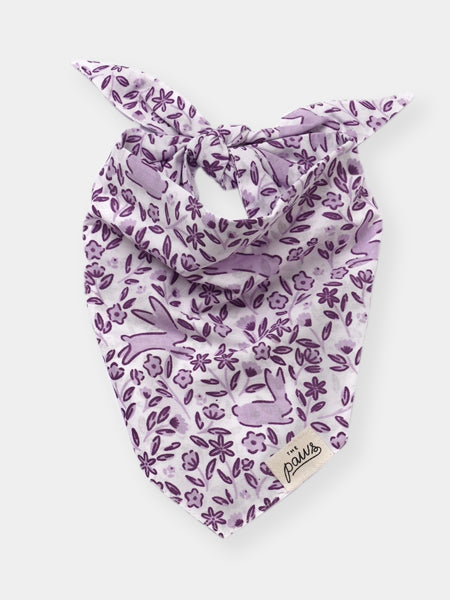 The-Paws-bandana-pour-chien-lapin